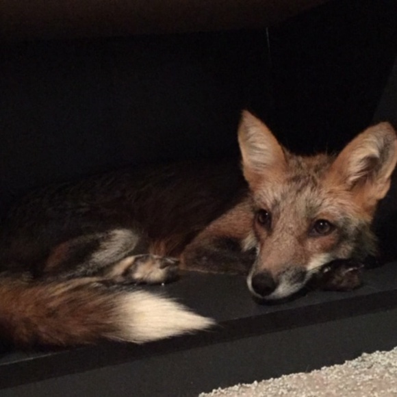 Meet your Posher, Maria - Picture 2 of 8